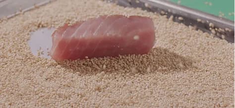 Nigiri de tonyina